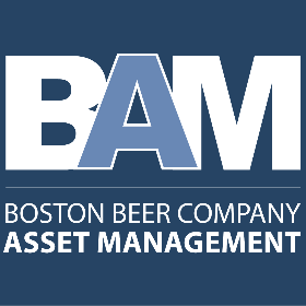 BAM logo